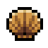 Clam