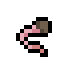 Rat Tail