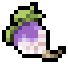 Wild Turnip